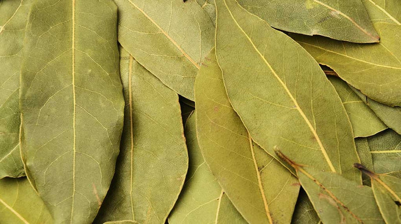 Load image into Gallery viewer, Rajah Spices Whole Spices Bay Leaves 10g
