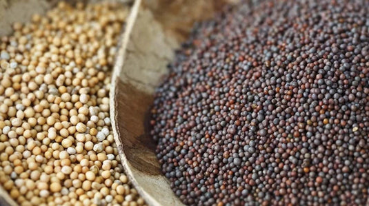 Rajah Spices Whole Spices Whole Black Mustard Seeds